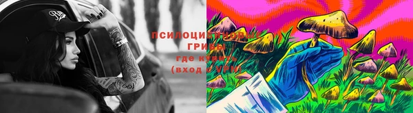 индика Армянск