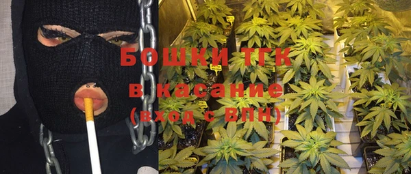индика Армянск