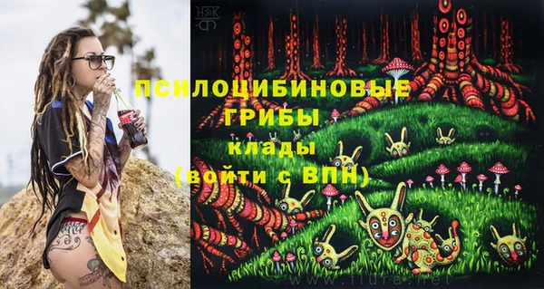 дмт Балабаново