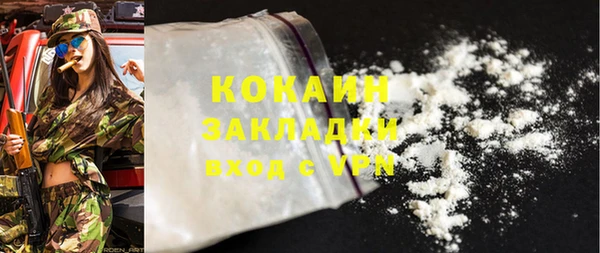 индика Армянск