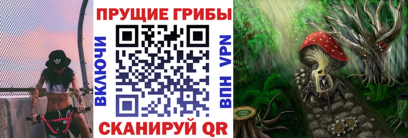 где купить   Волжск  Псилоцибиновые грибы MAGIC MUSHROOMS 